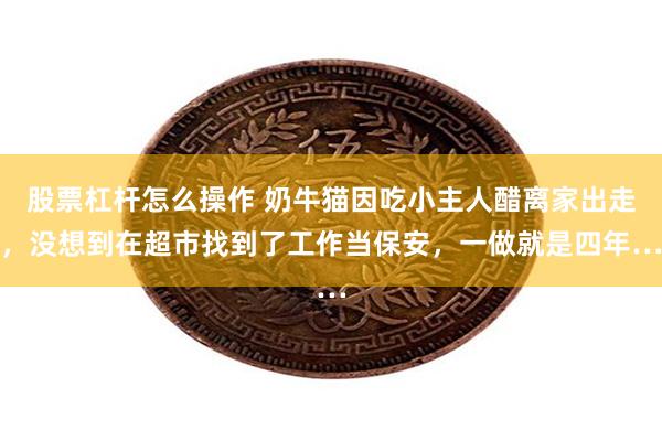 股票杠杆怎么操作 奶牛猫因吃小主人醋离家出走，没想到在超市找到了工作当保安，一做就是四年…