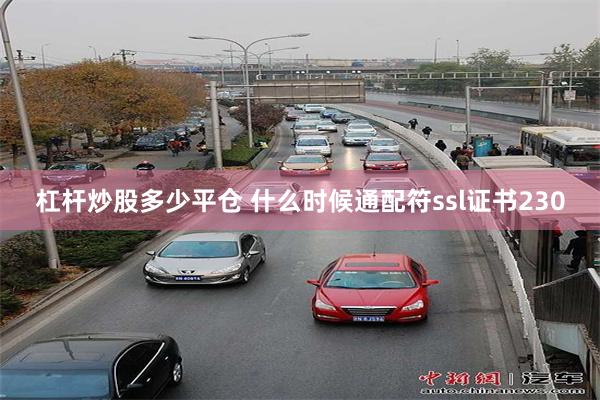 杠杆炒股多少平仓 什么时候通配符ssl证书230