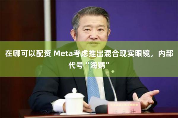 在哪可以配资 Meta考虑推出混合现实眼镜，内部代号“海鹦”