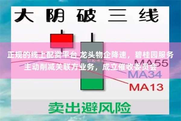 正规的线上配资平台 龙头物企降速，碧桂园服务主动削减关联方业务，成立催收委员会