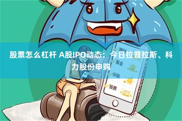 股票怎么杠杆 A股IPO动态：今日拉普拉斯、科力股份申购