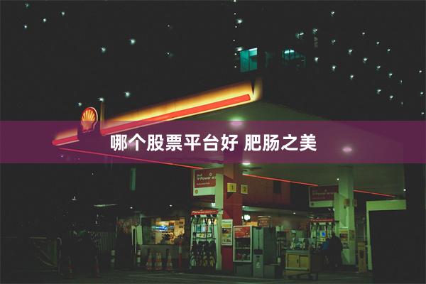 哪个股票平台好 肥肠之美