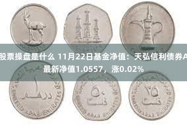 股票操盘是什么 11月22日基金净值：天弘信利债券A最新净值1.0557，涨0.02%