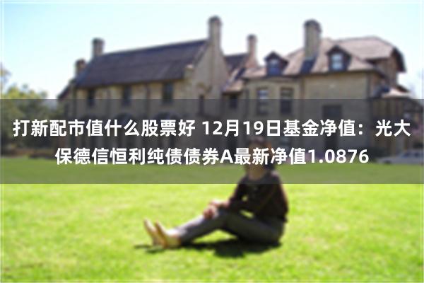 打新配市值什么股票好 12月19日基金净值：光大保德信恒利纯债债券A最新净值1.0876