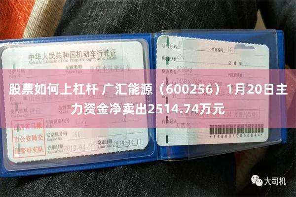 股票如何上杠杆 广汇能源（600256）1月20日主力资金净卖出2514.74万元