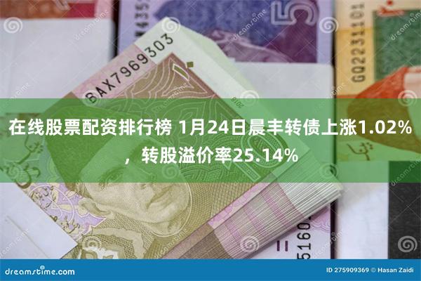 在线股票配资排行榜 1月24日晨丰转债上涨1.02%，转股溢价率25.14%