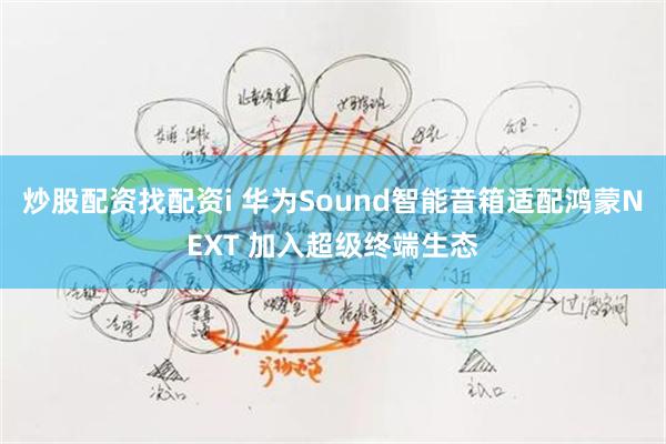 炒股配资找配资i 华为Sound智能音箱适配鸿蒙NEXT 加入超级终端生态