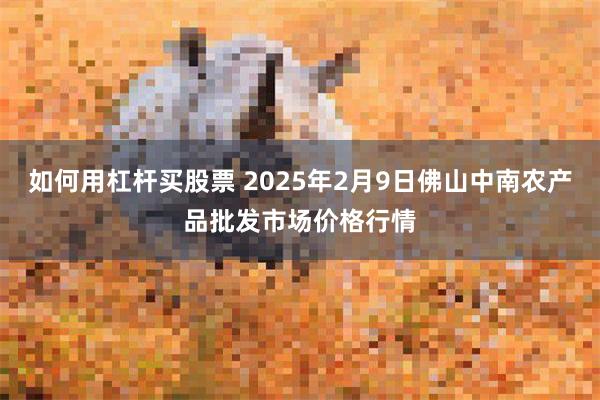 如何用杠杆买股票 2025年2月9日佛山中南农产品批发市场价格行情