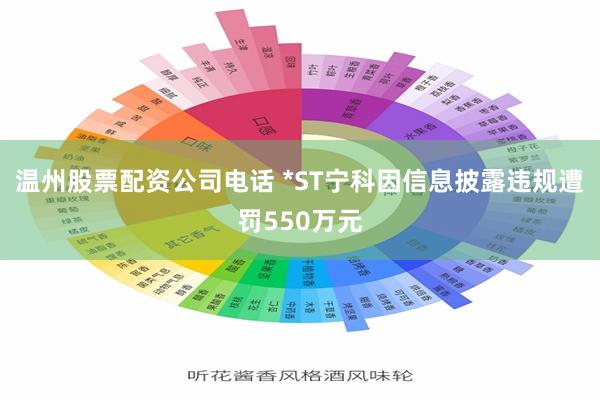 温州股票配资公司电话 *ST宁科因信息披露违规遭罚550万元