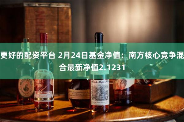 更好的配资平台 2月24日基金净值：南方核心竞争混合最新净值2.1231