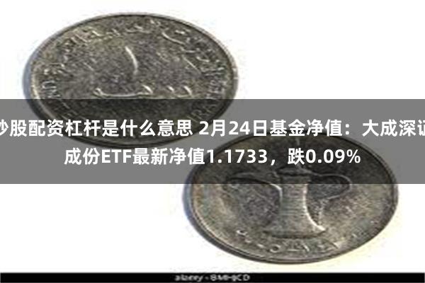 炒股配资杠杆是什么意思 2月24日基金净值：大成深证成份ETF最新净值1.1733，跌0.09%