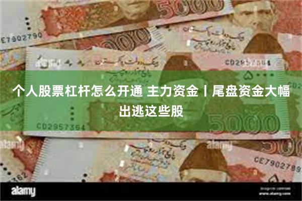 个人股票杠杆怎么开通 主力资金丨尾盘资金大幅出逃这些股